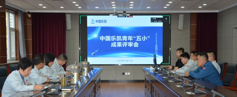 激揚(yáng)青春智造力！中國樂凱團(tuán)委召開青年“五小”成果評審會